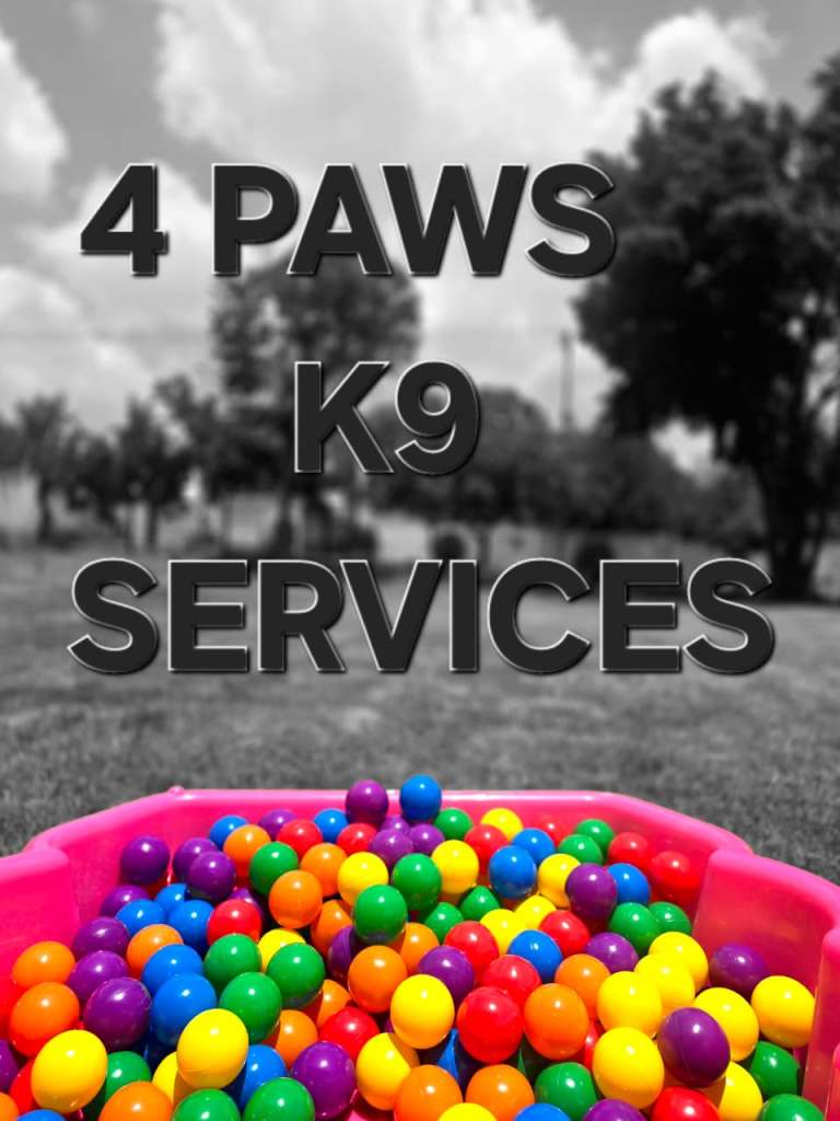 Colorful plastic balls in a pink container with the text '4 PAWS K9 SERVICES' overlaying the image.